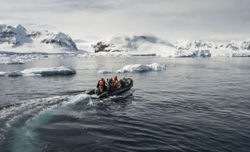 Cruceros a la Antártida