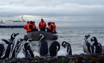 Cruceros Australis
