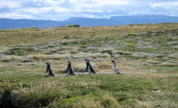 Torres del Paine National Park W Trekking Trail