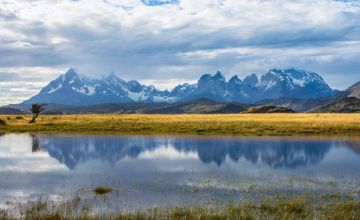 Fly Fishing in Serrano River, Torres del Paine