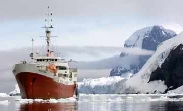 Cruceros a la Antártida